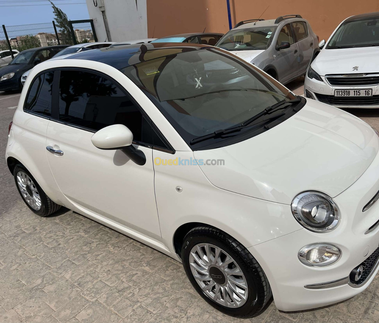 Fiat 500 2023 Club