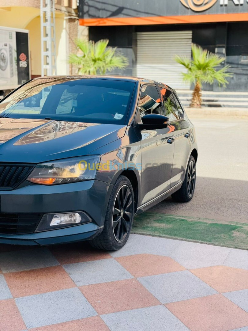 Skoda Fabia 2018 Monte Carlo