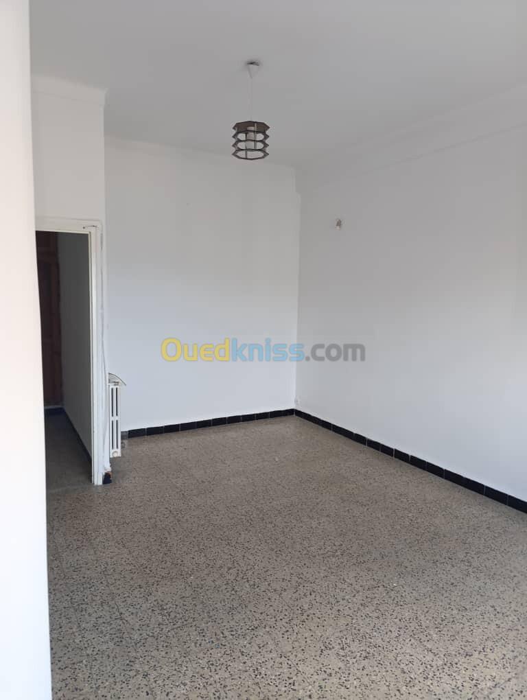 Location Appartement F2 Alger Alger centre