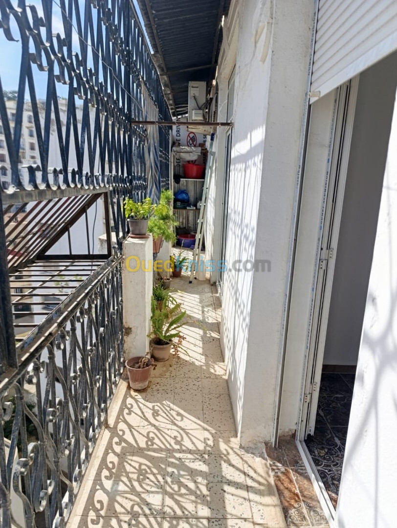 Vente Appartement F3 Alger Alger centre