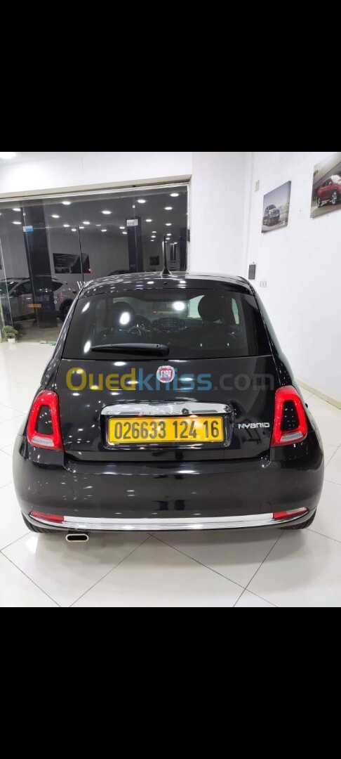 Fiat 500 2024 Clup