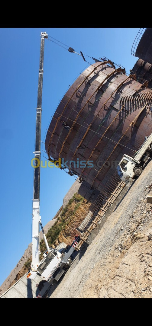 Mobile كراء Grue 25t. 30t. 50t. 60t. 200t 