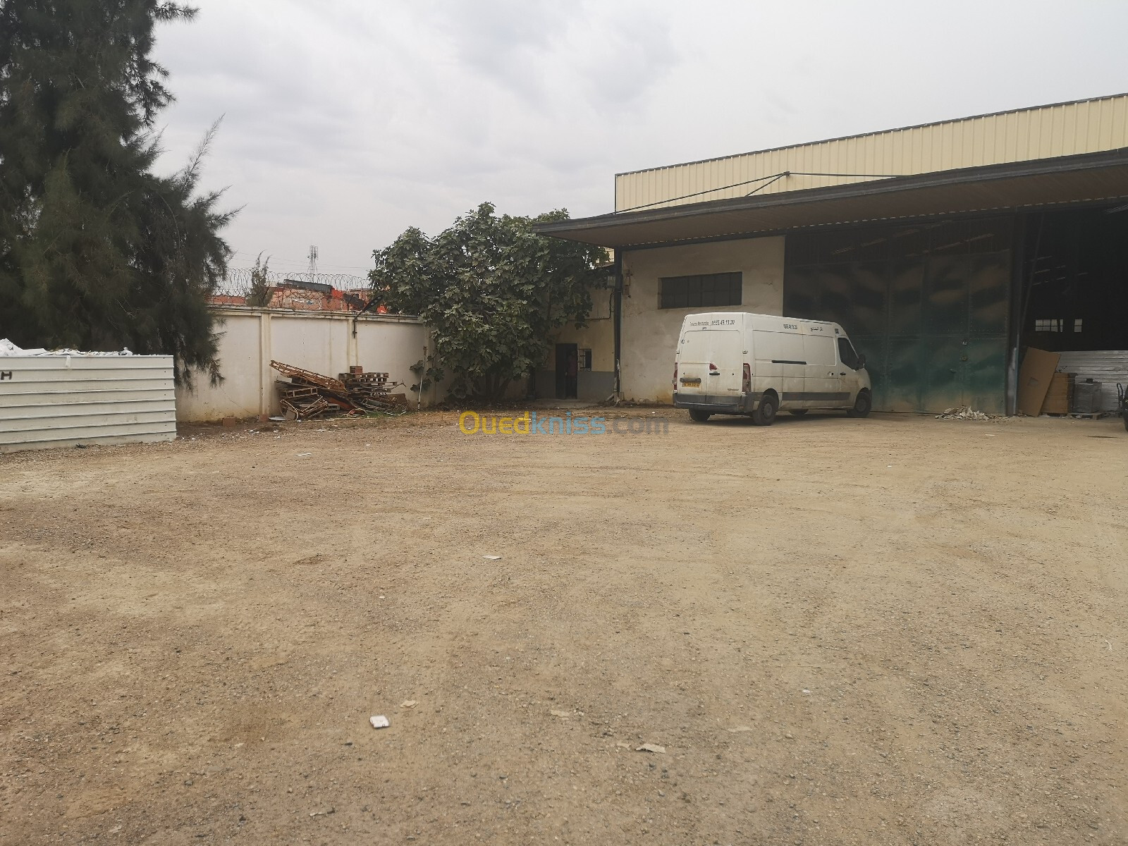 Location Hangar Blida Boufarik