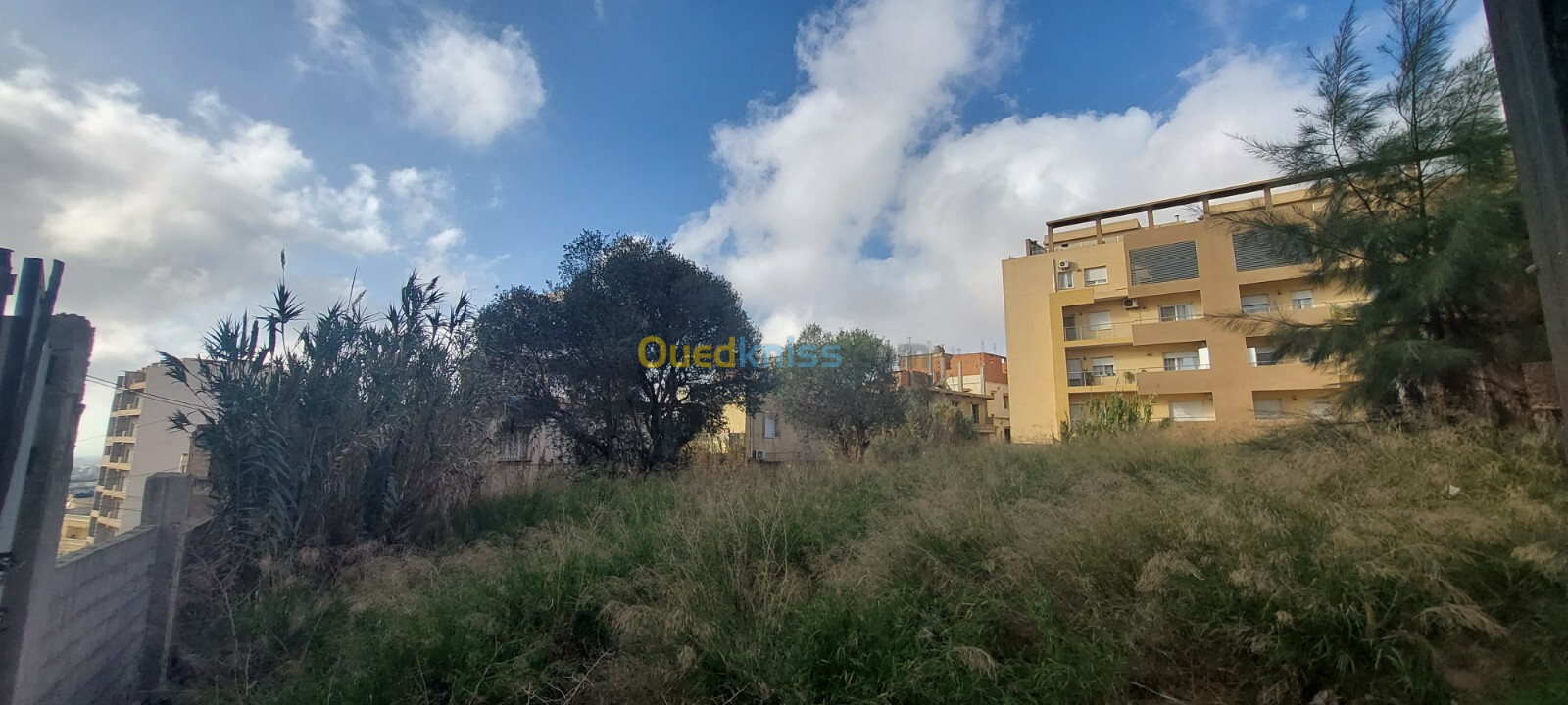 Vente Terrain Alger Cheraga