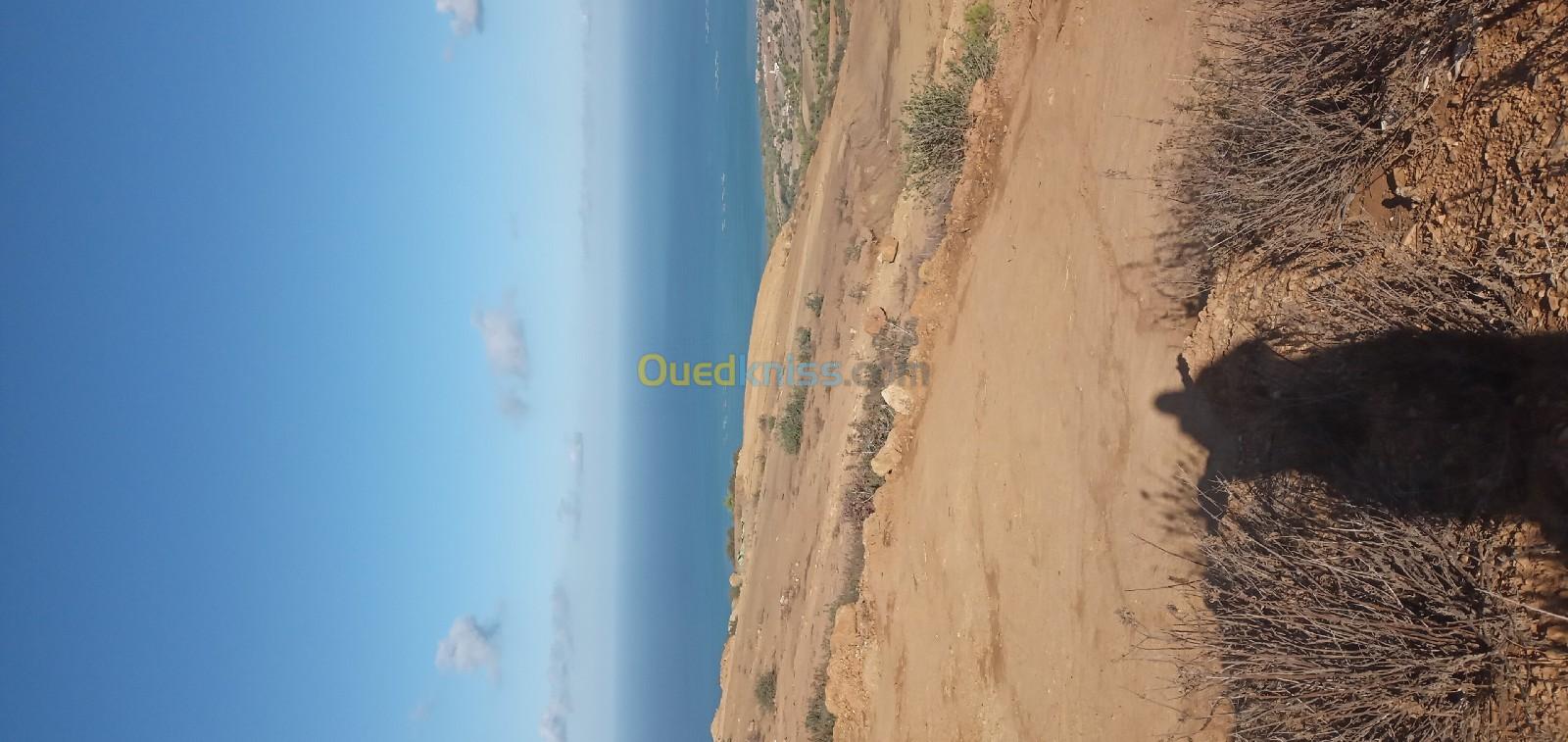 Vente Terrain Chlef Oued goussine