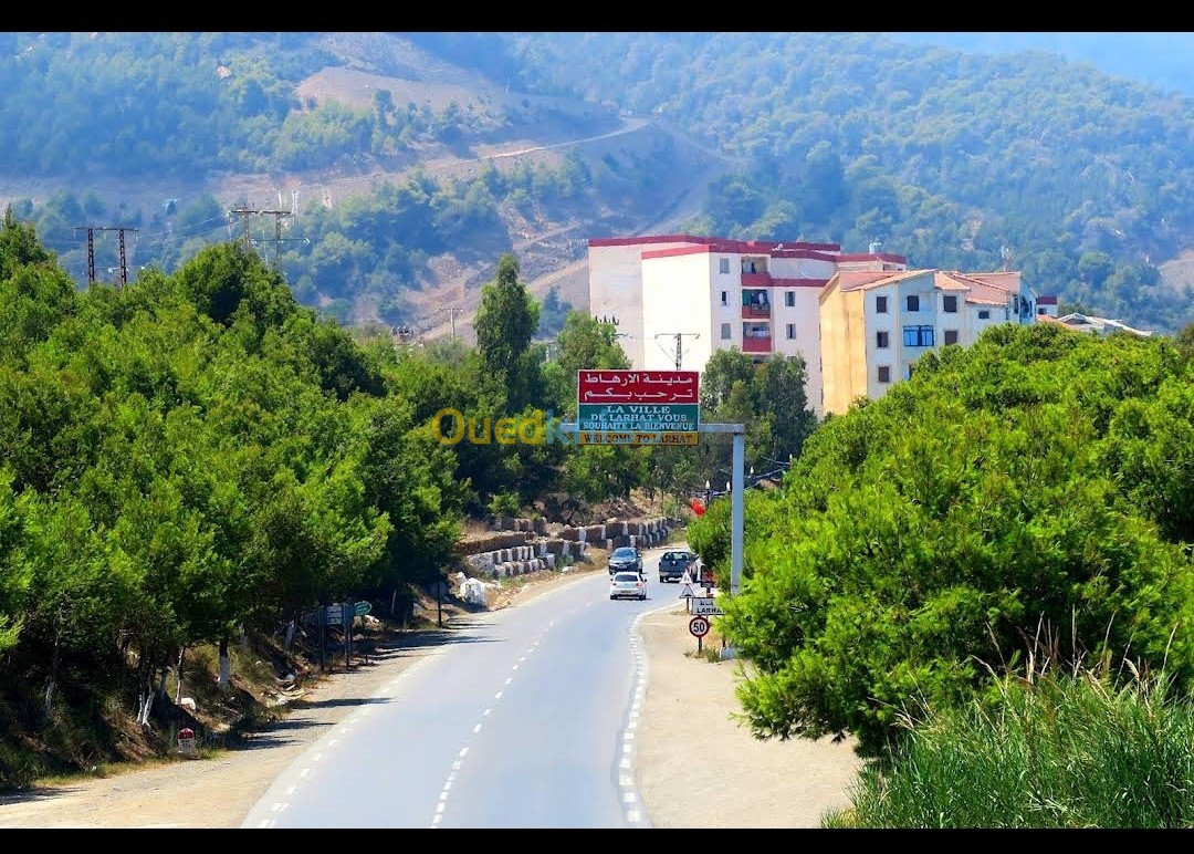 Vente Terrain Tipaza Larhat