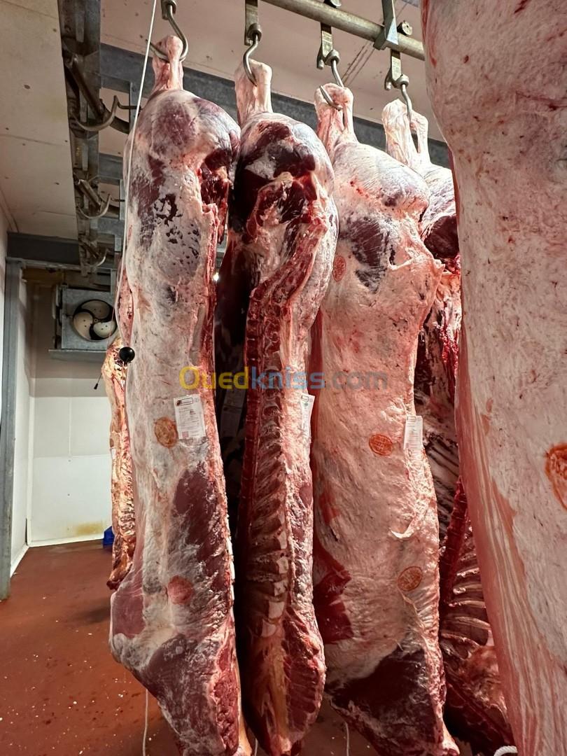 Importation de carcasses limousins 