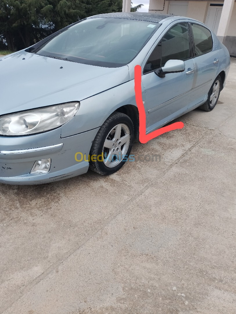 Peugeot 407 2007 407