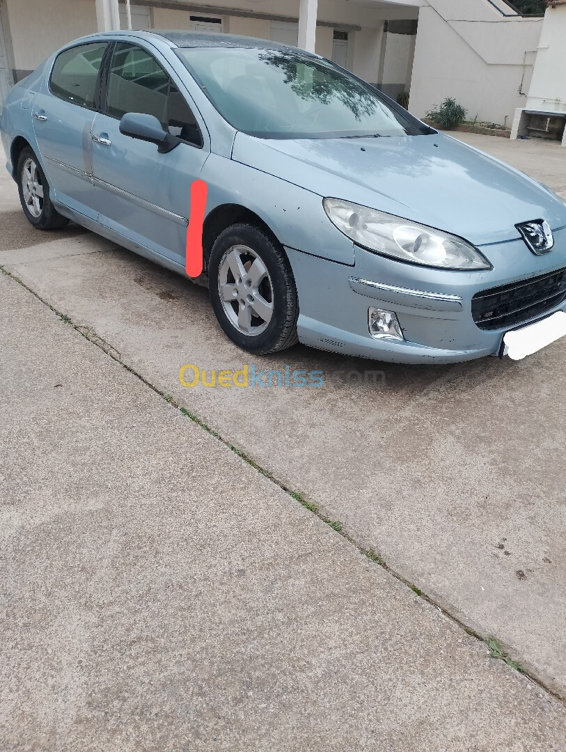 Peugeot 407 2007 407