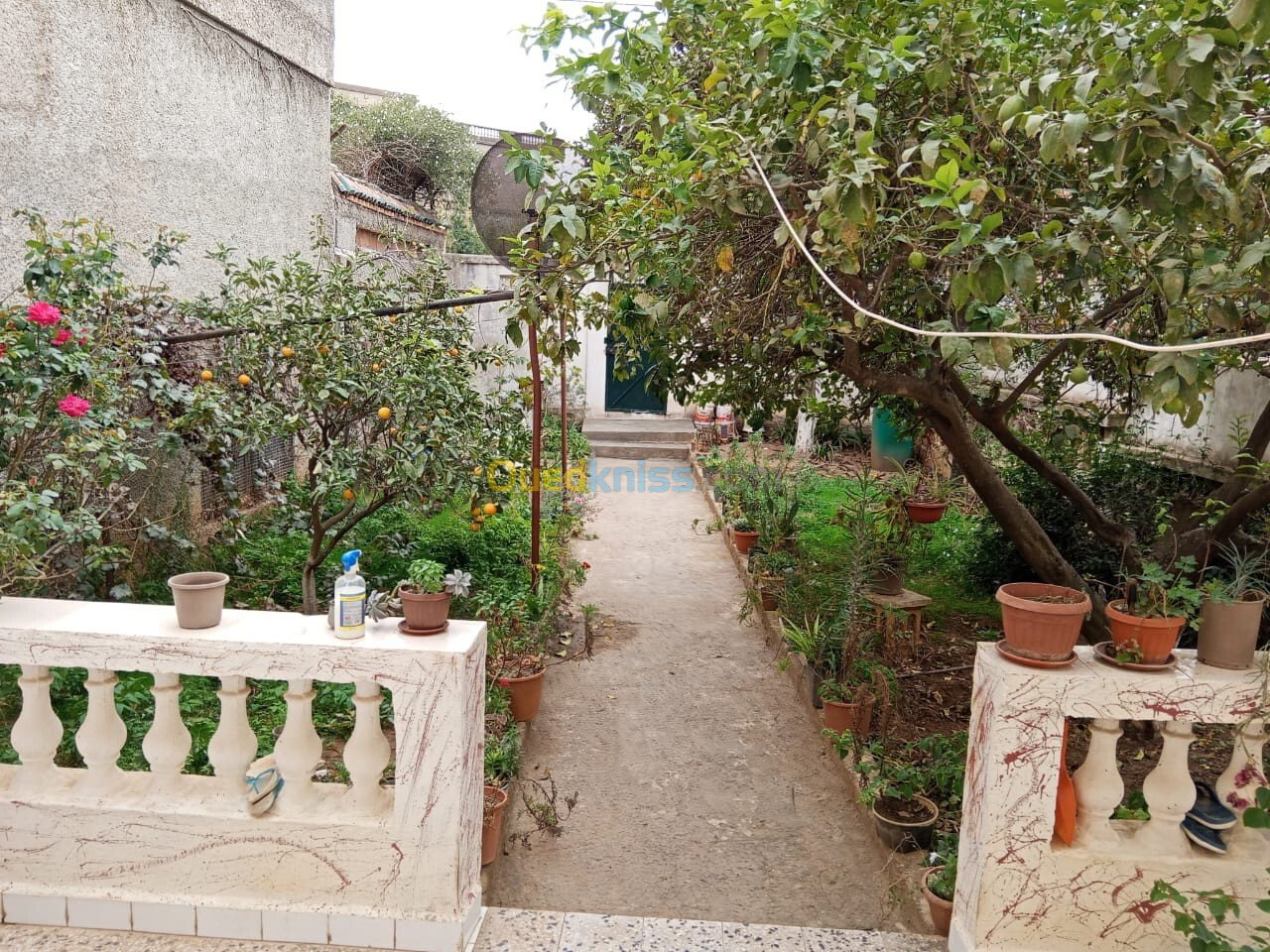 Location Niveau De Villa F4 Alger Dely brahim