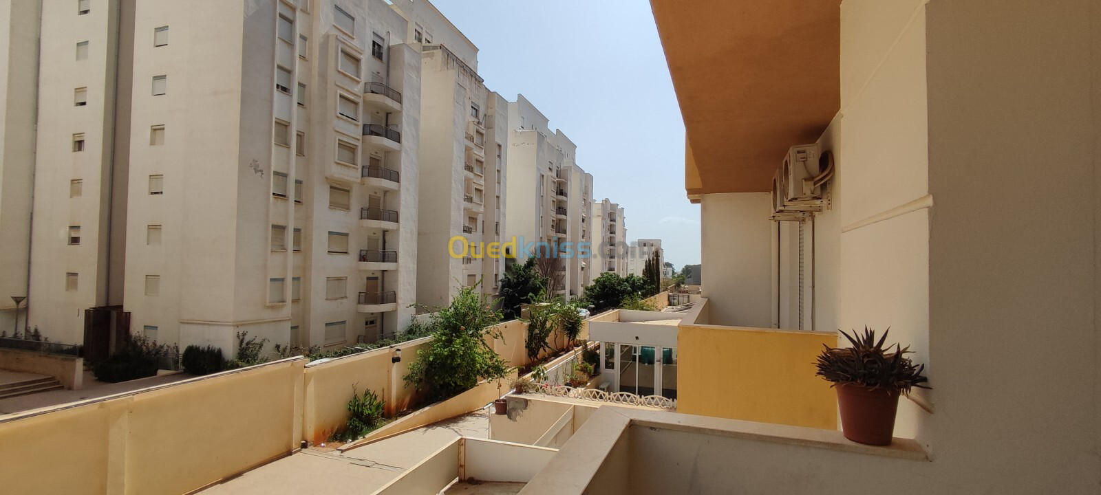 Vente Appartement F3 Alger Cheraga