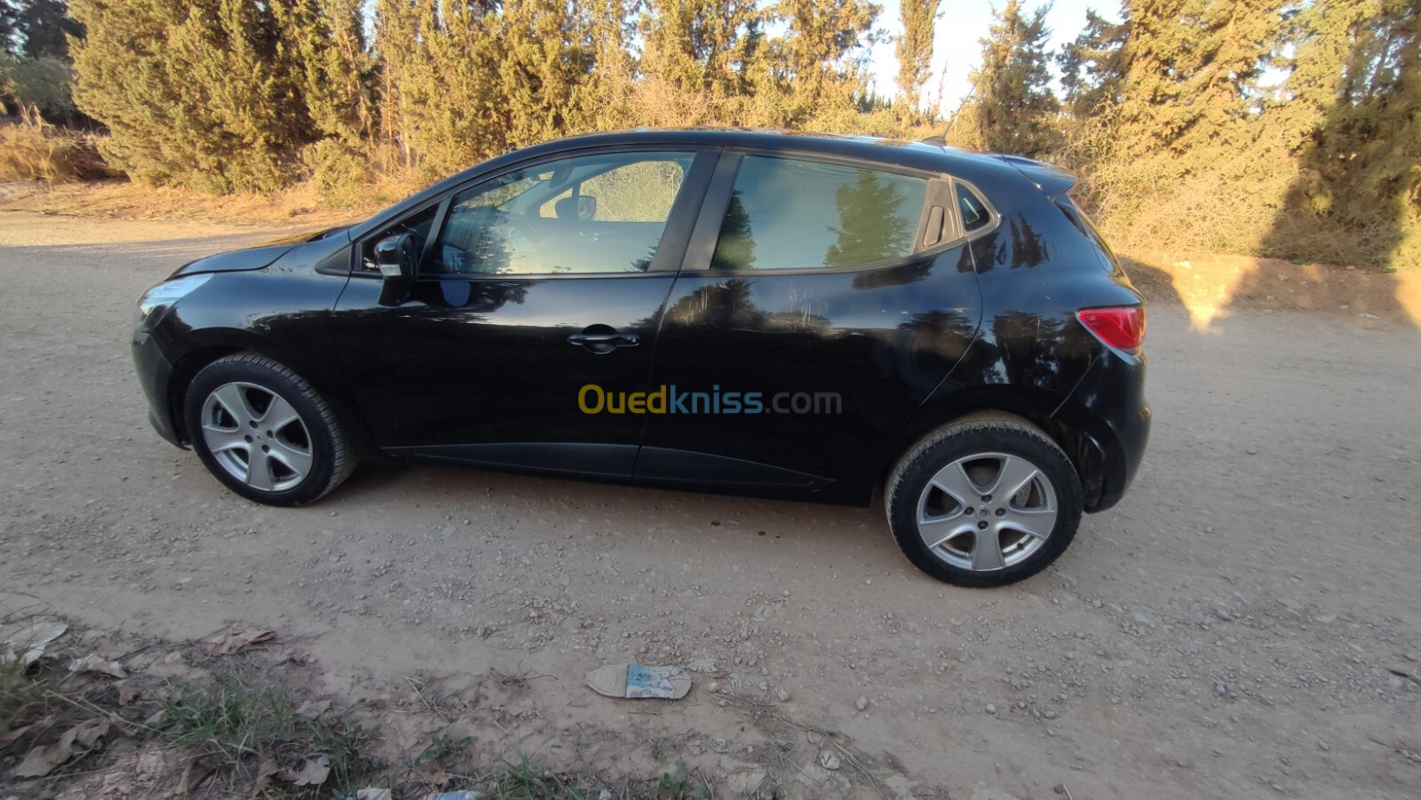 Renault Clio 4 2013 Dynamique