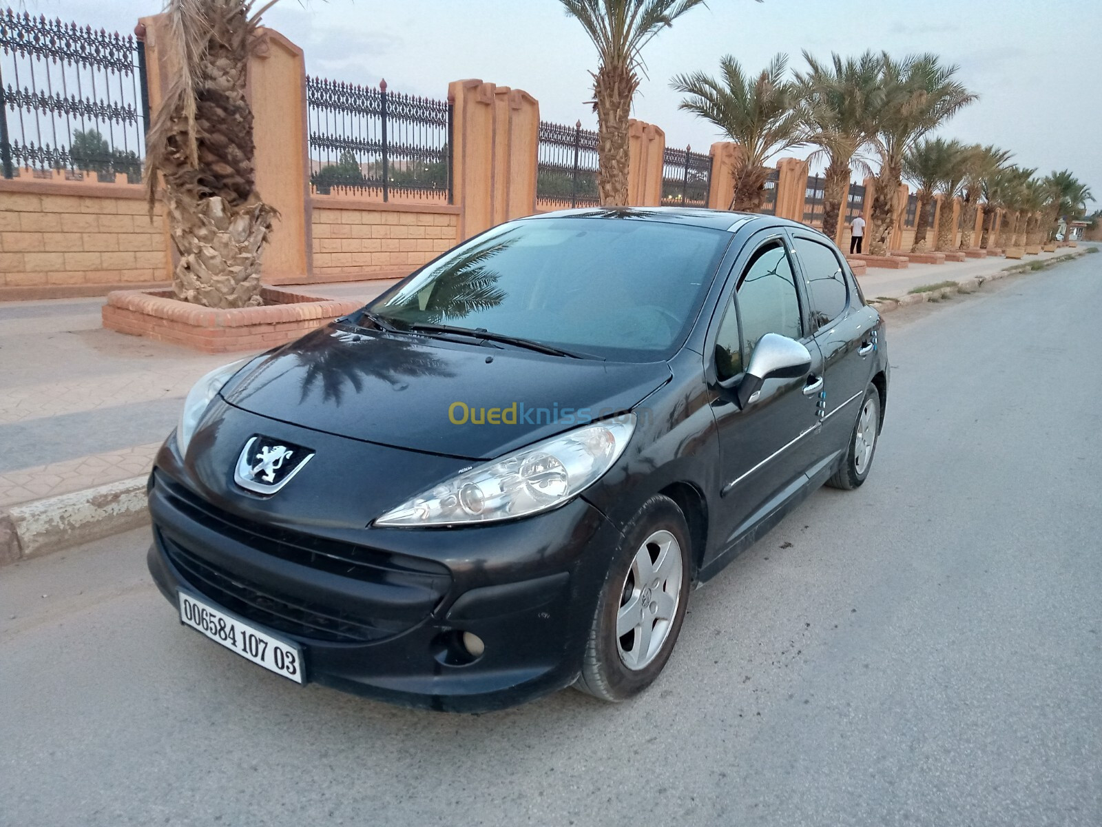 Peugeot 207 2007 207