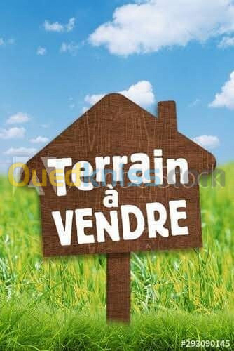 Vente Terrain Alger Birtouta