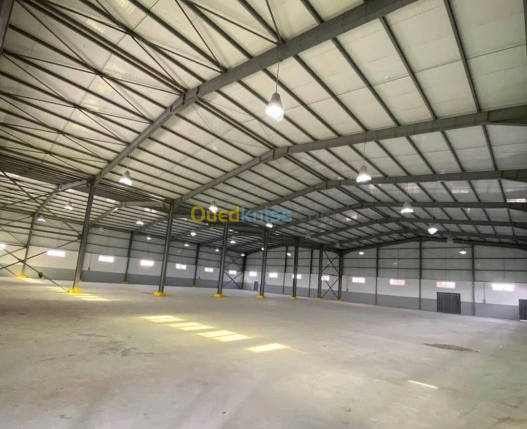 Location Hangar Blida Boufarik