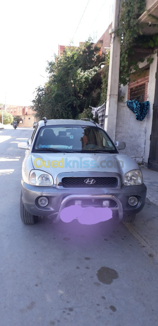 Hyundai SantaFe 2003 SantaFe