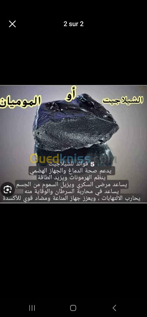 سيلاجيت شيلاجيت shilajit 