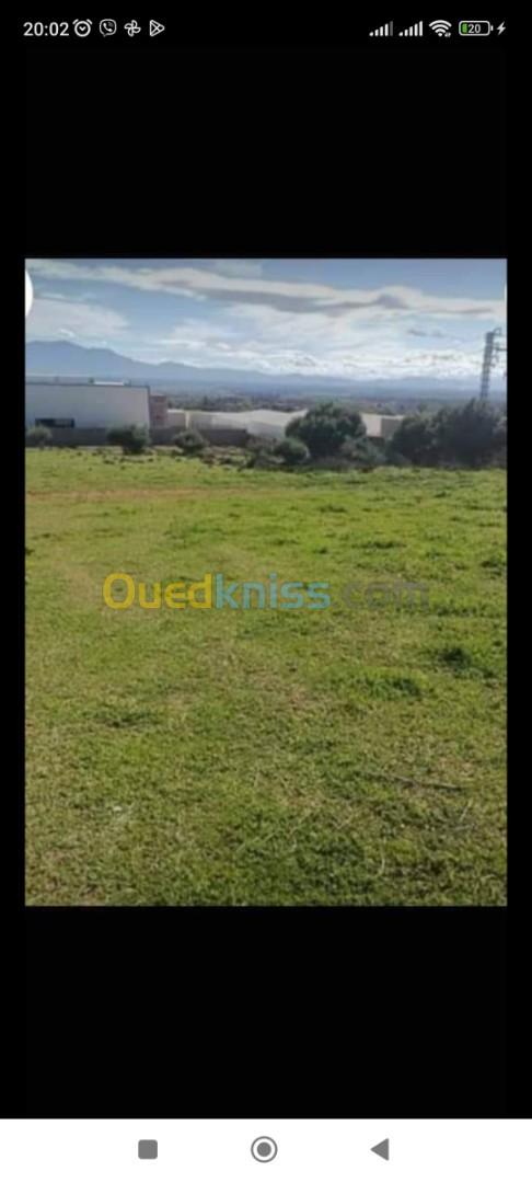 Vente Terrain Alger Douera