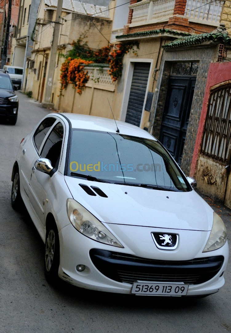 Peugeot 206 Plus 2013 206 Plus