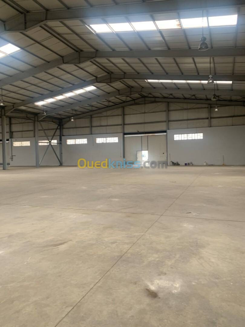 Location Hangar Alger Oued smar