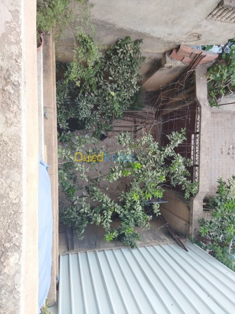 Vente Villa Alger Dar el beida