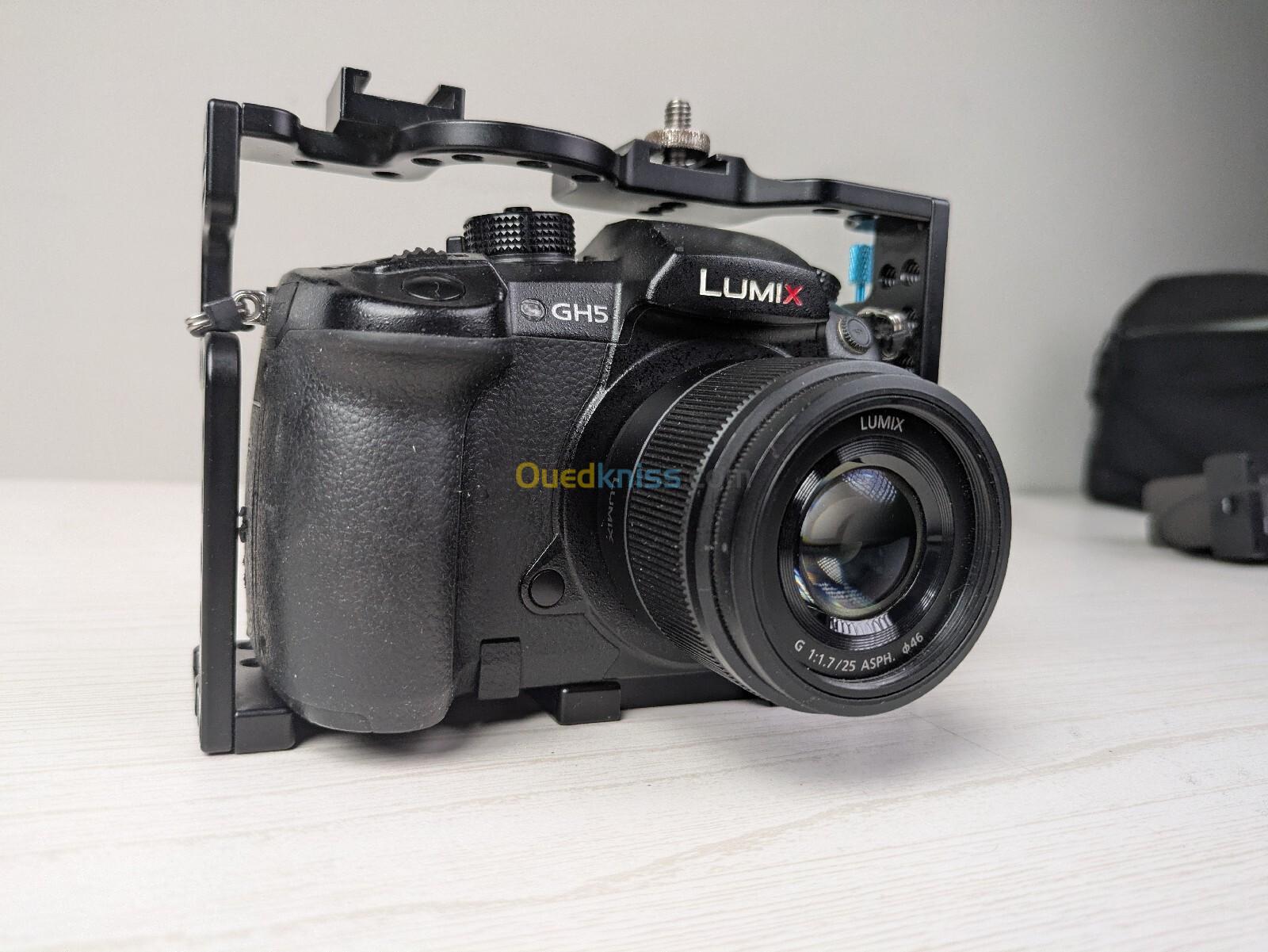 Panasonic Lumix GH5 