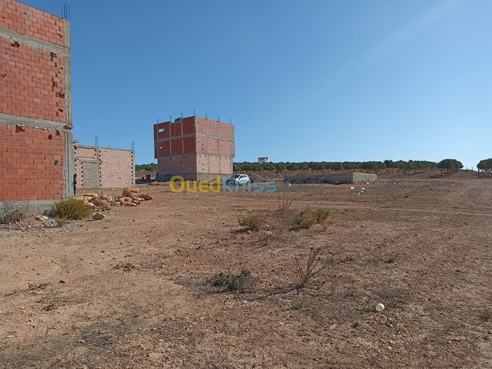 Vente Terrain Tlemcen Marsa ben mhidi