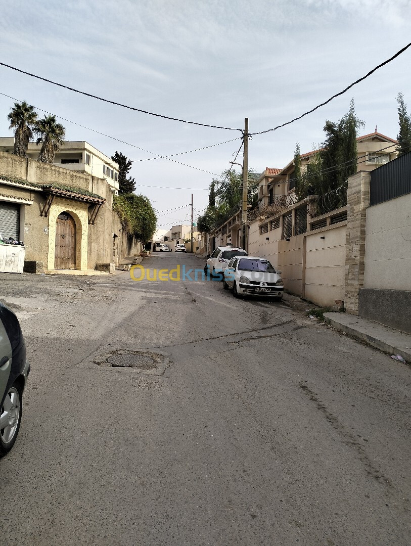 Vente Terrain Alger Birkhadem