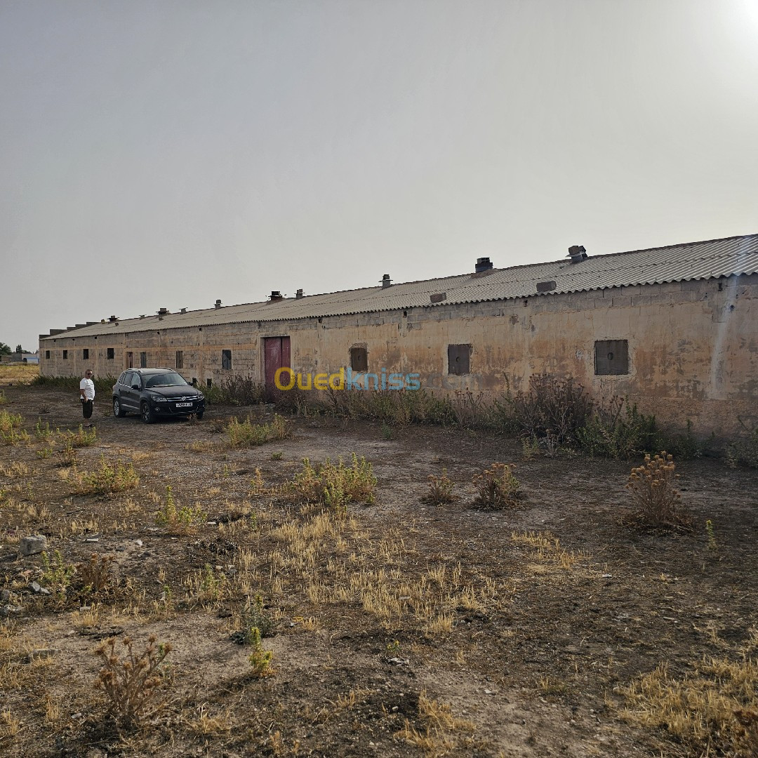 Location Hangar Sétif Bazer sakhra