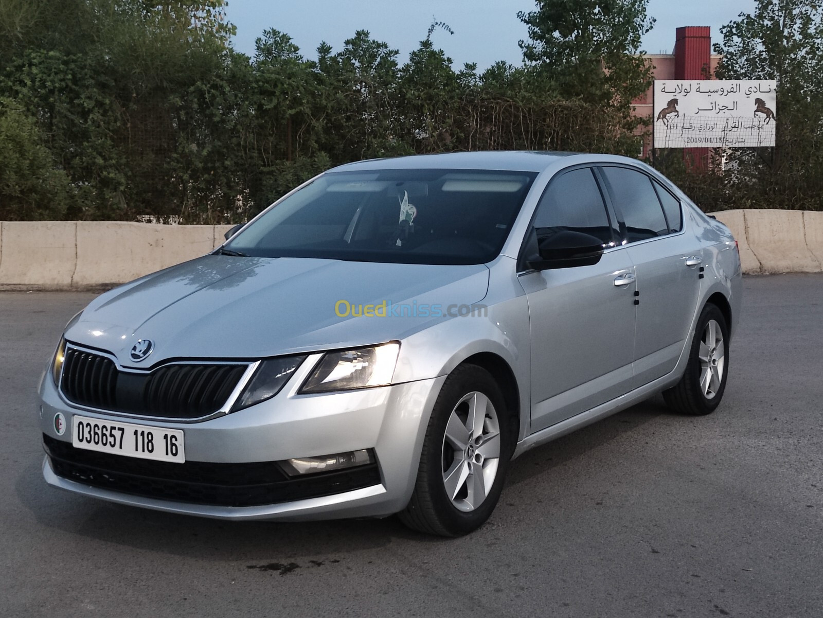 Skoda Octavia 2018 Business