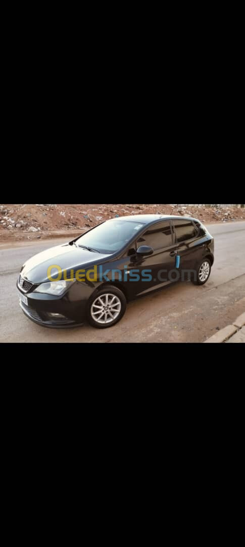 Seat Ibiza 2013 Fully