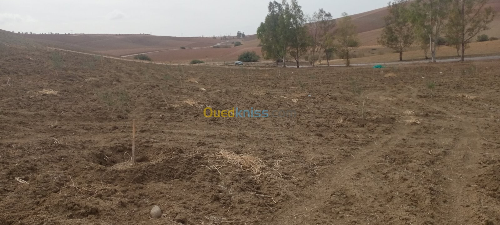 Vente Terrain Tlemcen Bensekrane