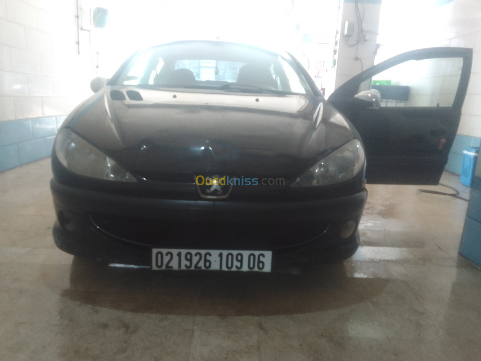 Peugeot 206 Sedan 2009 206 Sedan