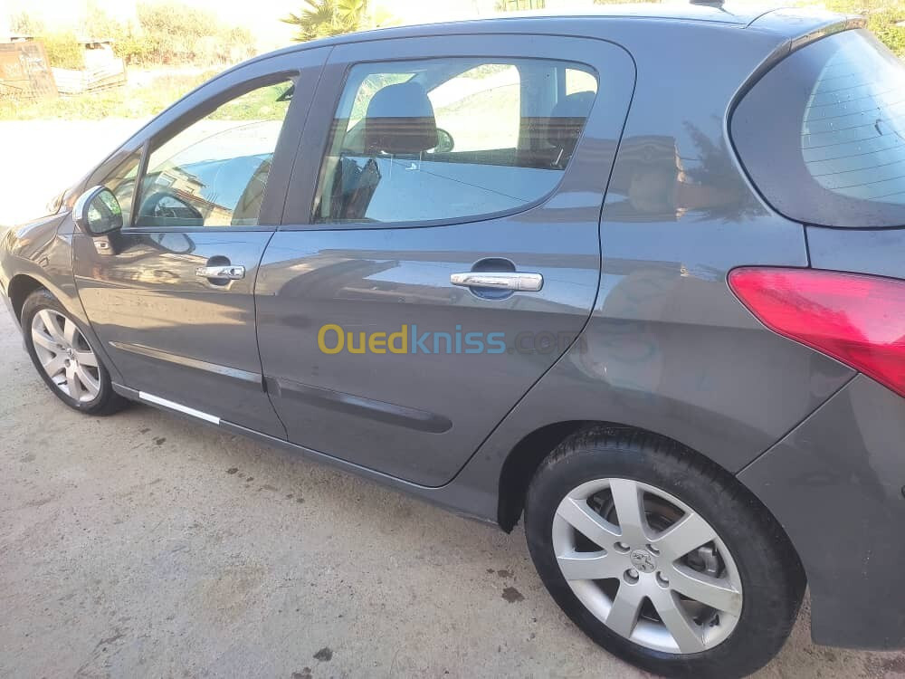 Peugeot 3008 2008 Premium