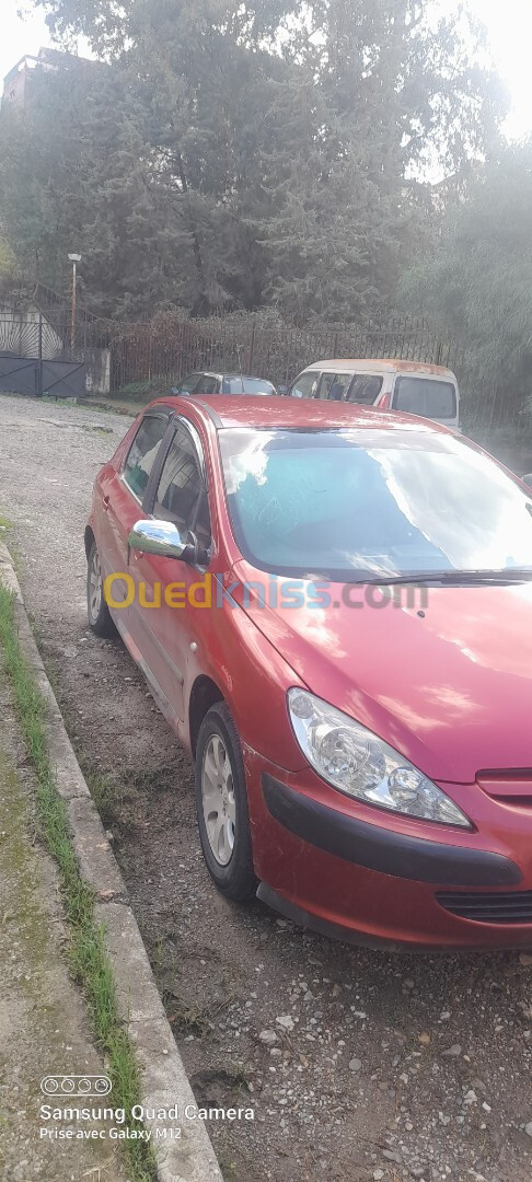 Peugeot 307 2005 XT