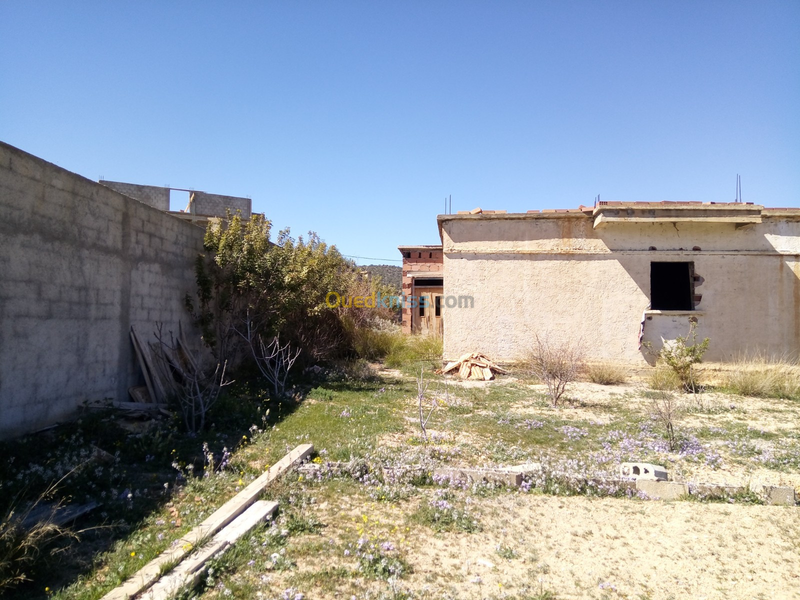 Vente Terrain Batna Djerma