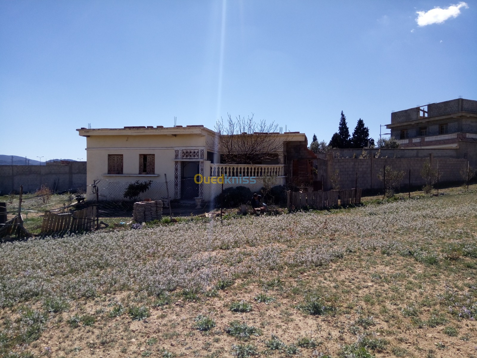 Vente Terrain Batna Djerma