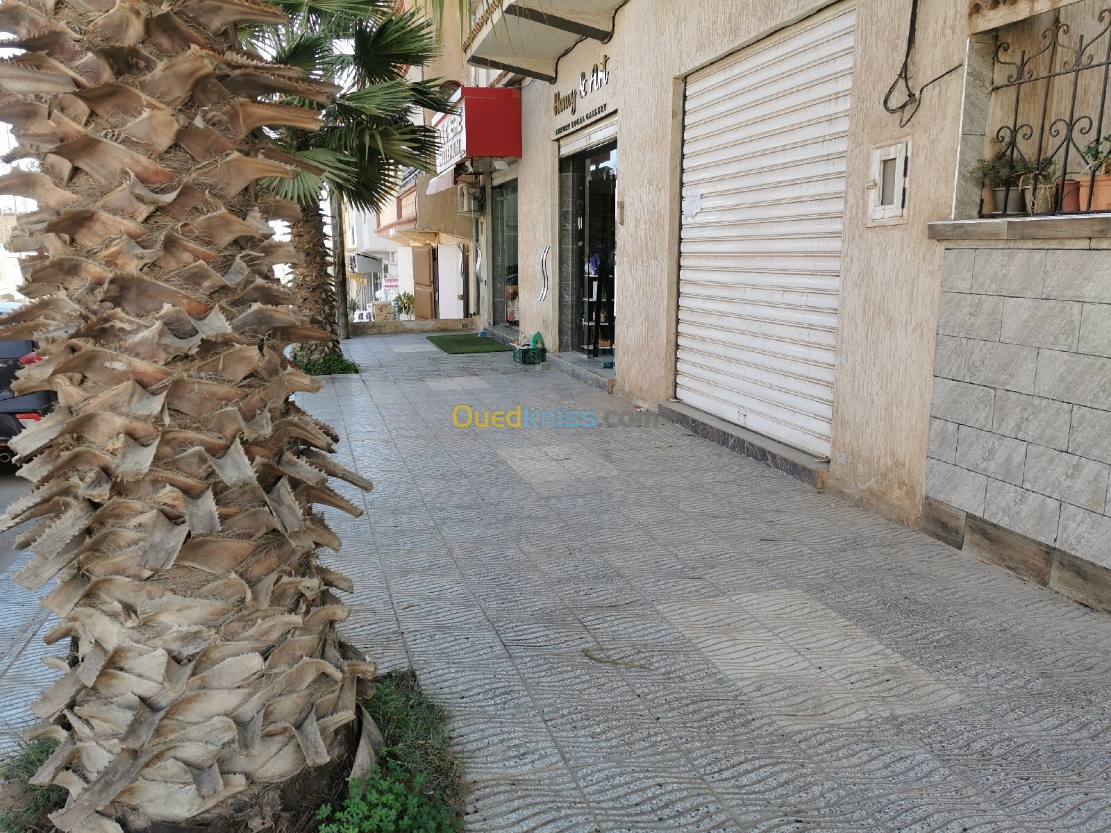 Location Local Oran Bir el djir