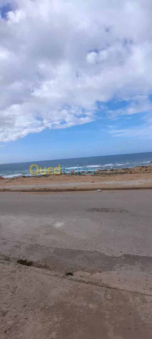 Location Local Mostaganem Mostaganem