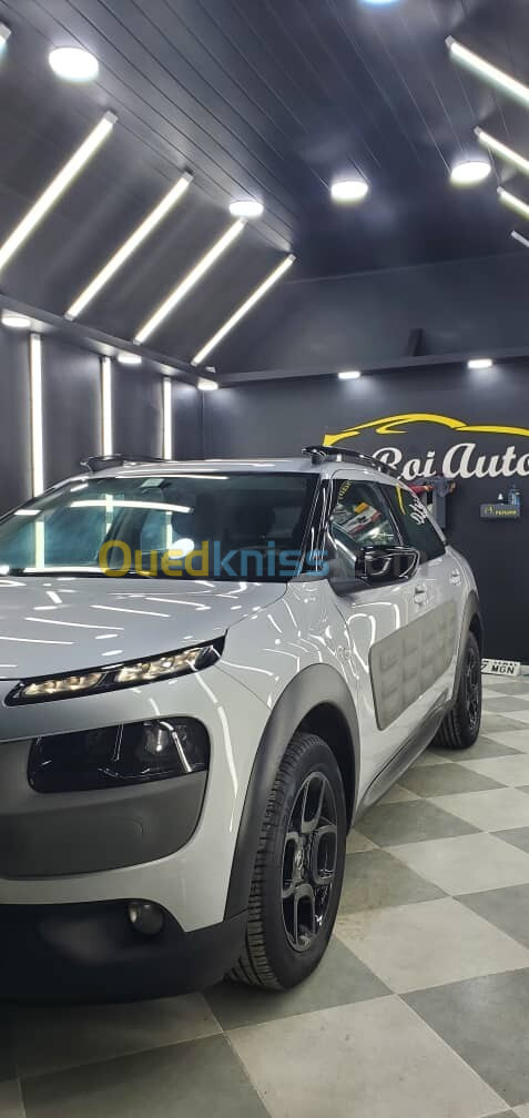 Citroen C4 Cactus 2015 