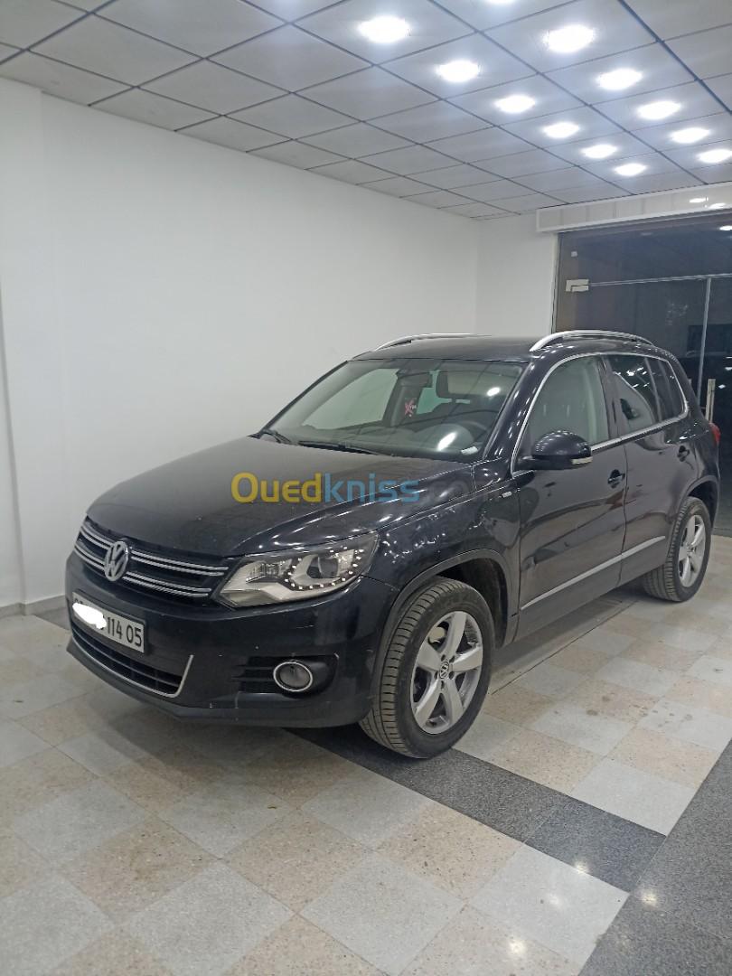 Volkswagen Tiguan 2014 Cup