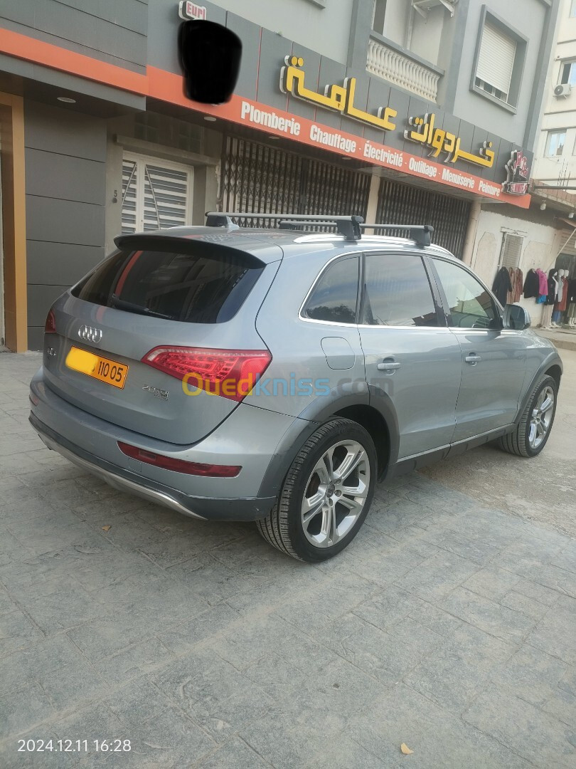 Audi Q5 2010 Off Road