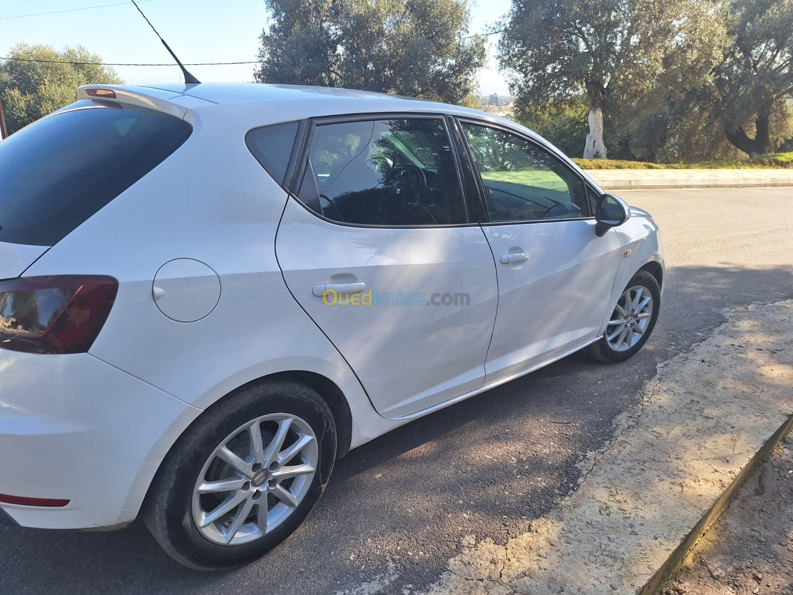 Seat Ibiza 2012 Fully