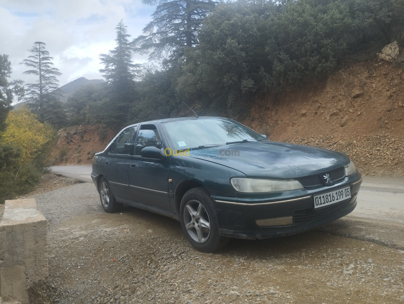 Peugeot 406 1999 406