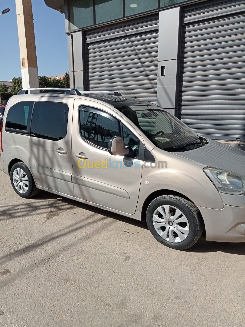 Citroen Berlingo 2012 