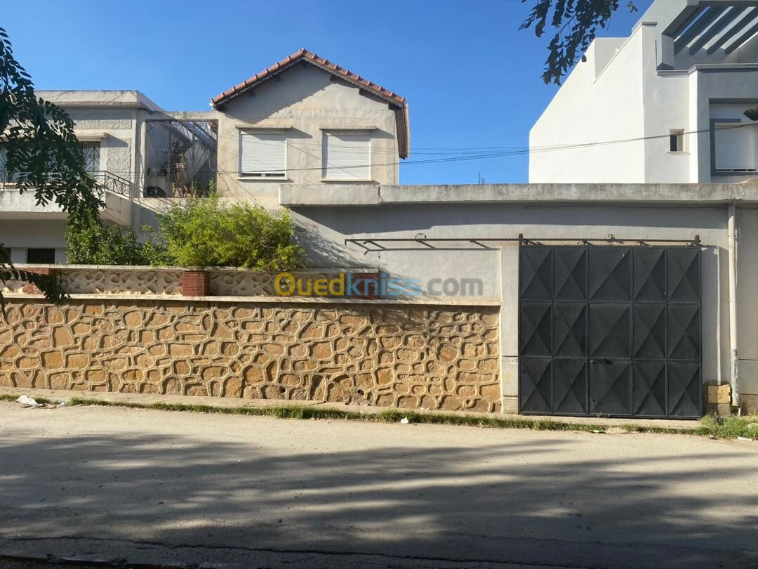 Vente Villa Blida Blida