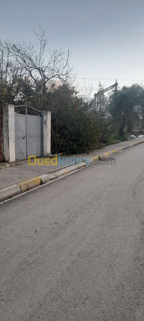 Vente Appartement F5 Blida Boufarik