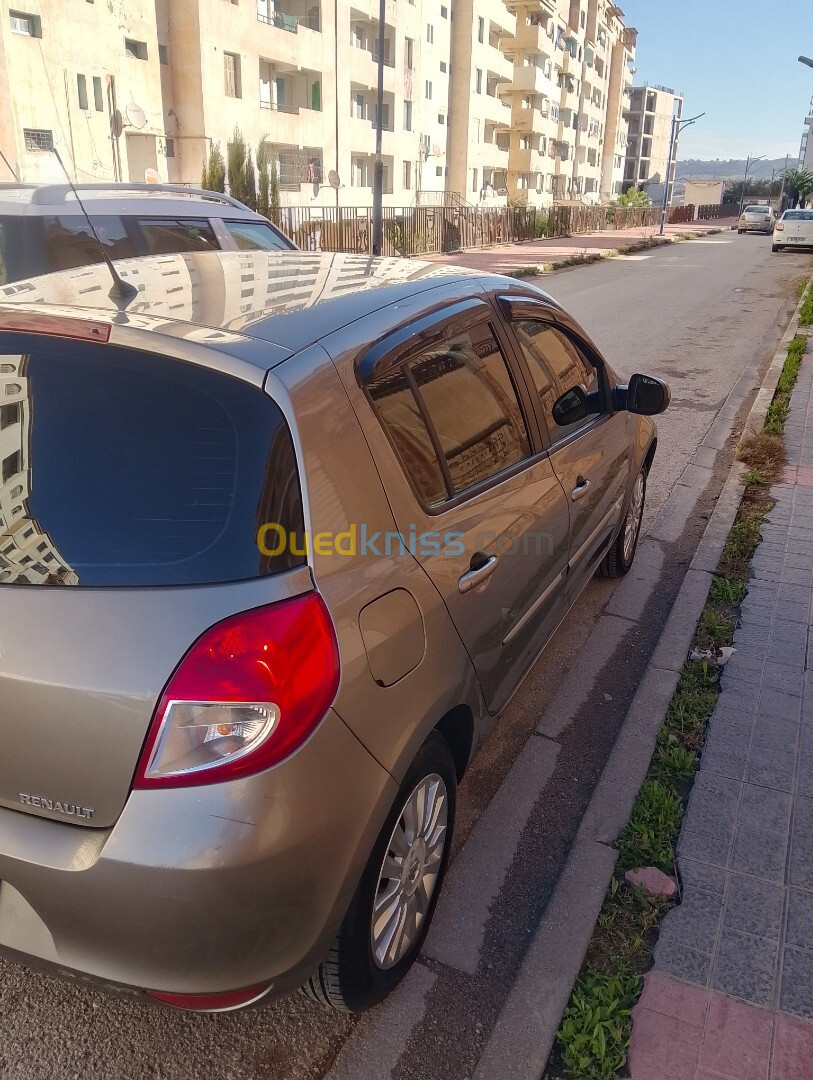 Renault Clio 3 2012 Night and Day