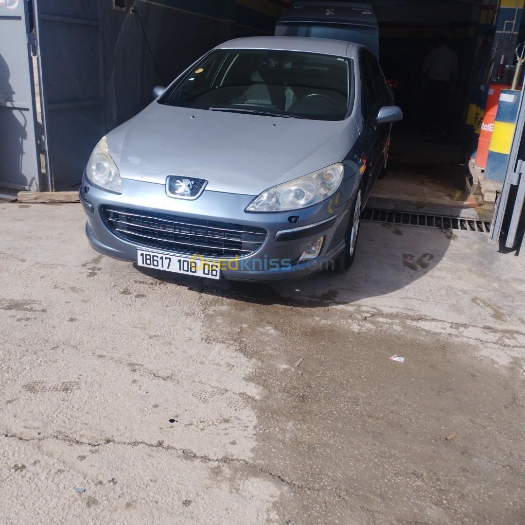 Peugeot 407 2008 407