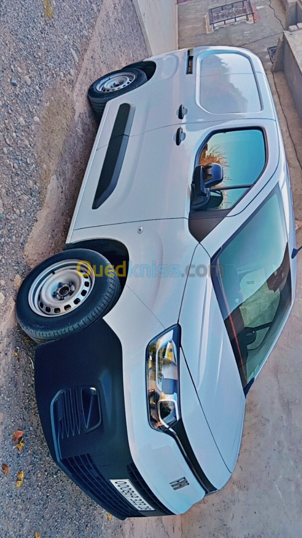 Fiat Doblo 2023 Professional